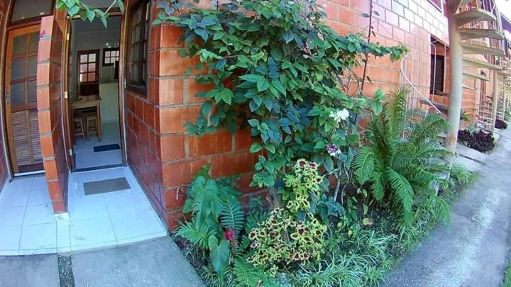 Apt Studio Maranduba Ville 1 Apartment อูบาตูบา ภายนอก รูปภาพ